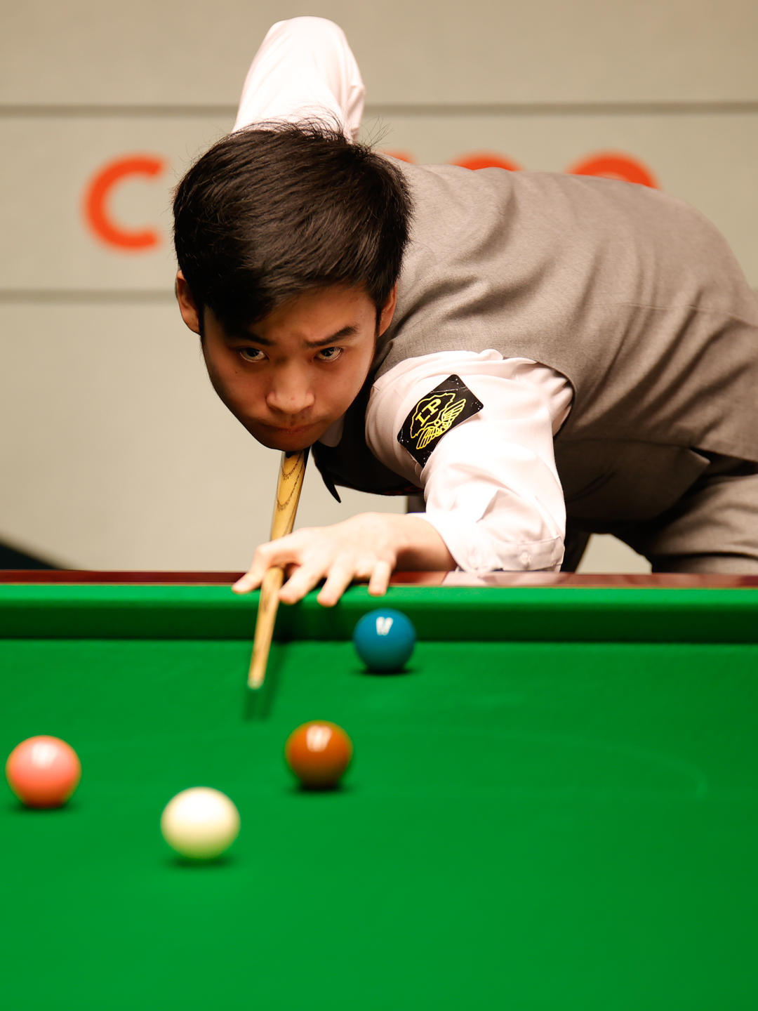 女排的国际 女排的国际