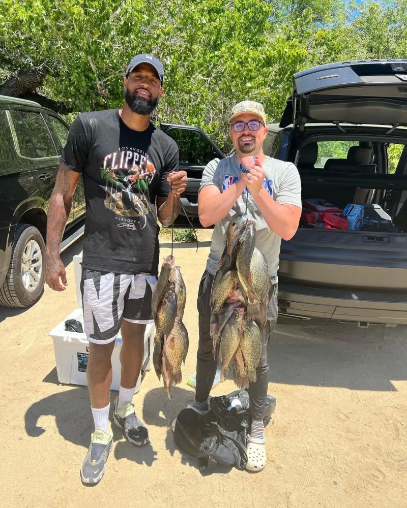 作为联盟中 作为联盟中