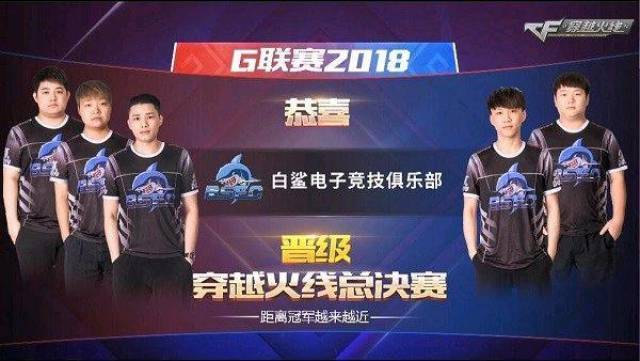 内投放与数